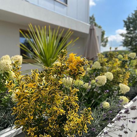 Neu 2023 Gemuetliches Apartment Im Eichsfeld Leinefelde-Worbis Dış mekan fotoğraf