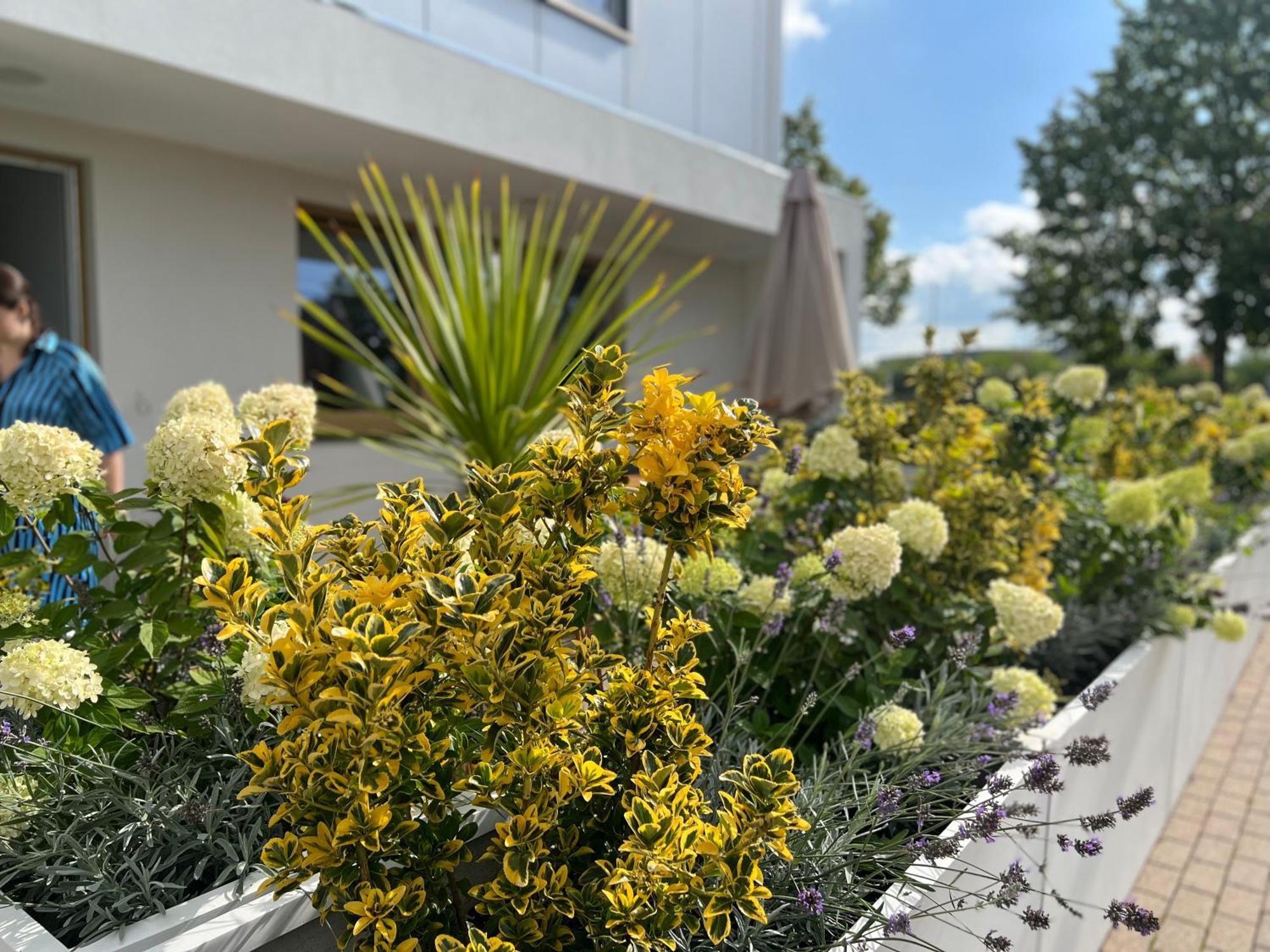 Neu 2023 Gemuetliches Apartment Im Eichsfeld Leinefelde-Worbis Dış mekan fotoğraf